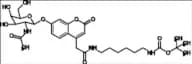 Mucopolysaccharidosis Type VI Related Compound MPS-VI-2 (ASB-P)