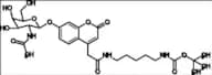 Mucopolysaccharidosis Type VI Related Compound MPS-VI-3 (ASB-IS)