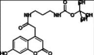 Mucopolysaccharidosis Type I Related Compound MPS-I-3 (IdA-IS)