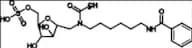 Mucopolysaccharidosis Type I Related Compound MPS-I-6 (IDUA-P)