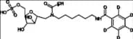 Mucopolysaccharidosis Type I Related Compound MPS-I-7 (IDUA-IS)