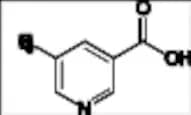 Nicotine Related Compound 4