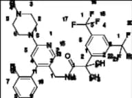 Netupitant Impurity 19