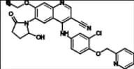 Neratinib Impurity 10