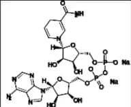 β-NADH Disodium Salt