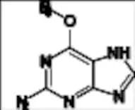 Nelarabine Impurity 11