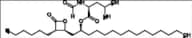 Orlistat Tetradecyl Ester