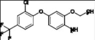 Oxyfluorfen Impurity 4