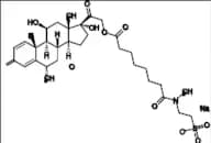 Methylprednisolone Impurity 46