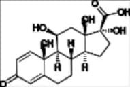 Prednienic Acid