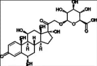 Methylprednisolone Glucuronide