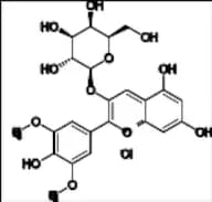 Malvidin-3-Galactoside Chloride