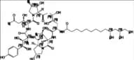 Pneumocandin A0