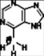 6-Methyl Purine-13C