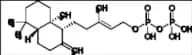 Copalyl Pyrophosphate