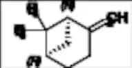 (+)-β-Pinene
