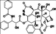6-α-Hydroxy Paclitaxel