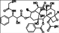 10-Deacetyl Paclitaxel Ethyl Analogue