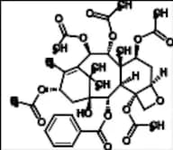 Paclitaxel Baccatin VI