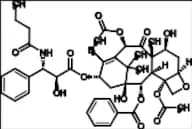 Paclitaxel Propyl Analog