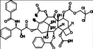 7-Troc Paclitaxel