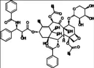 7-Xylosylpaclitaxel