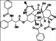 19-Hydroxy Paclitaxel