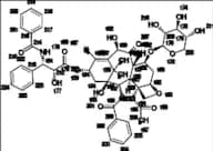 10-Deacetyl-7-Xylosylpaclitaxel