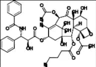 2-Debenzoyl Paclitaxel 2-Pentanoate
