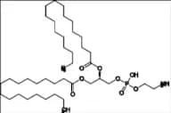 1,2-Distearoyl-SN-Glycero-3-Phosphoethanolamine