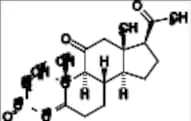 11-Keto Progesterone-13C6
