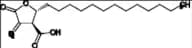 ent-Protolichesterinic Acid