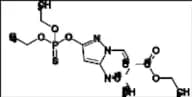Pyrazophos-13C4