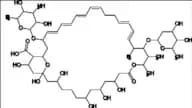 Polyfungin B