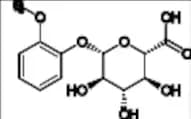 Guaicol-β-D-Glucuronide