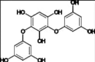 Phenol Related Compound 1