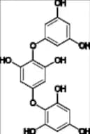 Phenol Related Compound 2