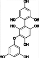 Phenol Related Compound 4