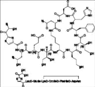 Bacitracin EP Impurity F Ditrifluoroacetate