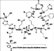 Bacitracin EP Impurity G