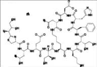 Bacitracin Zinc
