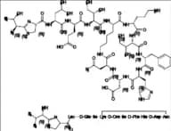 Bacitracin B1 Tritrifluoroacetate
