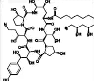 Caspofungin Impurity 1 (5-((3R)-3-Hydroxy-L-Ornithine)-Pneumocandin B0)
