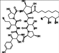 Caspofungin Impurity 2