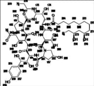 Caspofungin Impurity 5