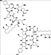 Caspofungin Impurity Dimer 1