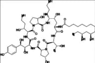 Caspofungin Impurity 19