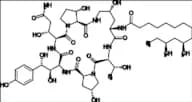 Caspofungin Impurity 24