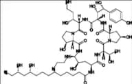 Caspofungin Impurity 32