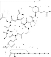 Carbetocin Impurity 4